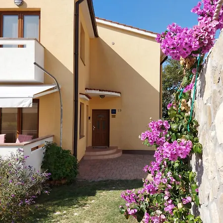 Ana 2 * باشْكا